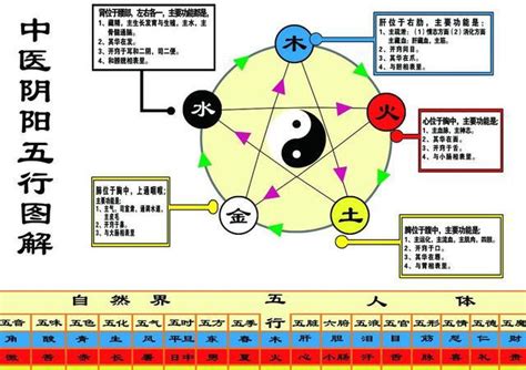 白色是什么五行|白色在五行中代表什么？